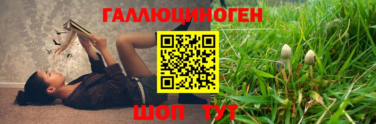 Псилоцибиновые грибы GOLDEN TEACHER Мценск